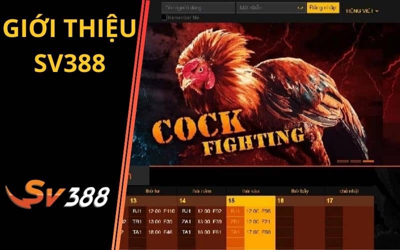 SV388 là trang đá gà trực tuyến hàng đầu Việt Nam SV388 là trang đá gà trực tuyến hàng đầu Việt Nam