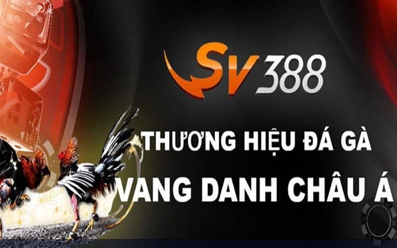 Dễ dàng quảng bá khi hợp tác với thương hiệu uy tín Dễ dàng quảng bá khi hợp tác với thương hiệu uy tín